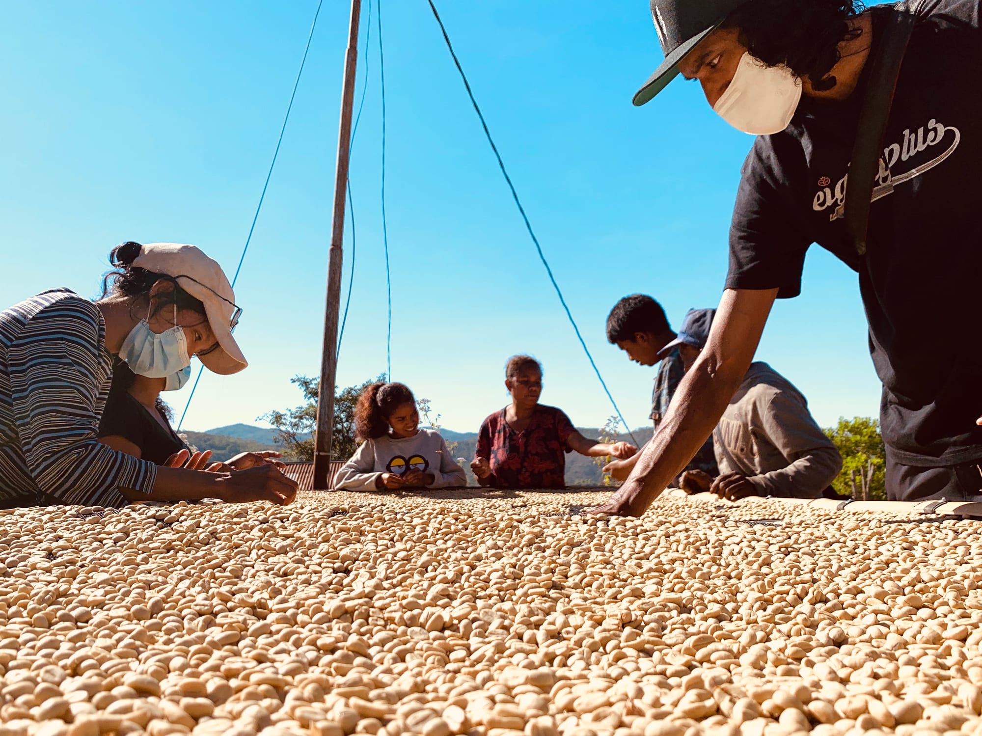 Coffee processing